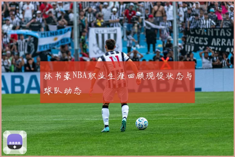 林书豪NBA职业生涯回顾现役状态与球队动态