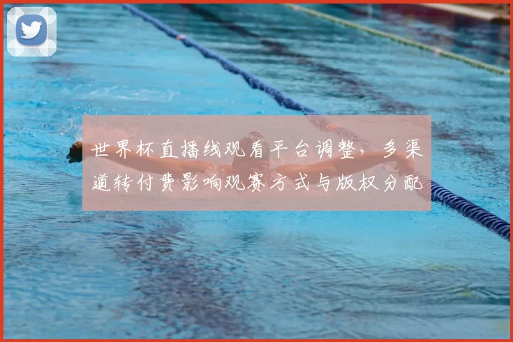 世界杯直播线观看平台调整，多渠道转付费影响观赛方式与版权分配